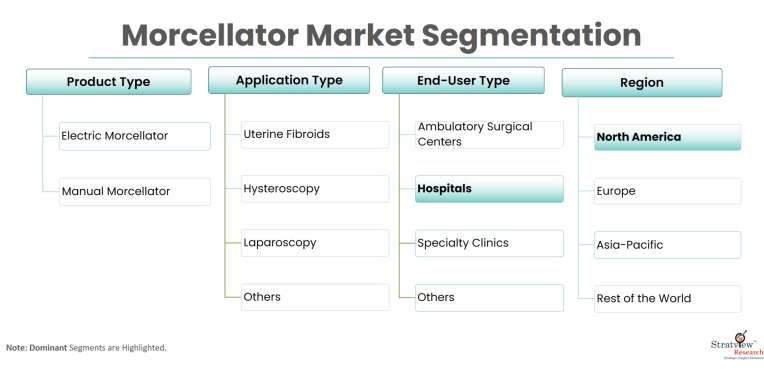 Morcellator-Market-Segmentation